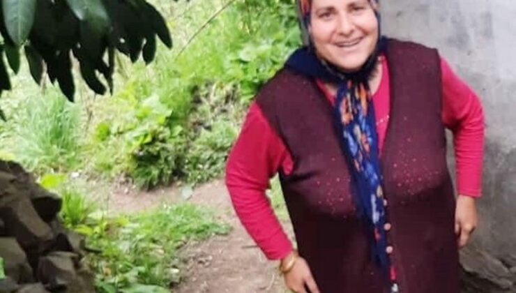 Fındık sepeti ile uçuruma yuvarlandı