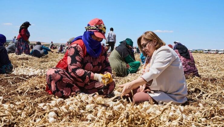 Gaziantep’te “haydi tarladan sofraya” projesi başladı