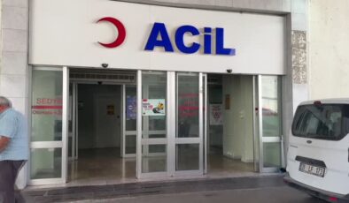 Genç kızın midesinden 2 kilogram kıl yumağı çıkarıldı