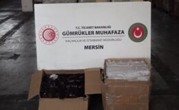 Gümrük Muhafaza ekipleri yaklaşık 730 bin kaçak eşya ele geçirdi