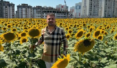 Güneydoğu’dan rekor ayçiçek yağı ihracatı