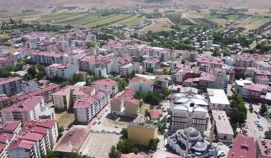 Gurbetçiler, Karakoçan’ı canlandırıyor