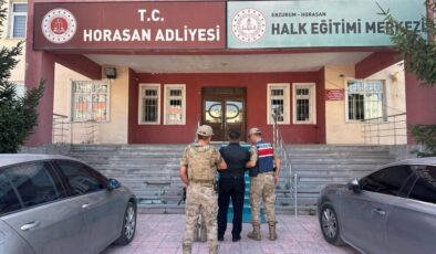 Horasan’da büyükbaş hırsızları yakalandı