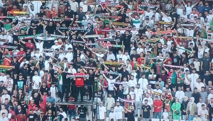 Amedspor kendi evinde yenildi