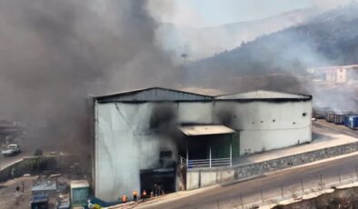 Karşıyaka’daki orman yangını sanayi sitesine sıçradı