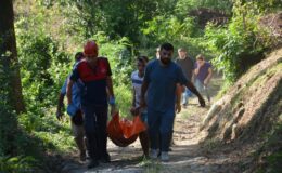 Kökünden kopan incir ağacı yaşlı adamın sonu oldu