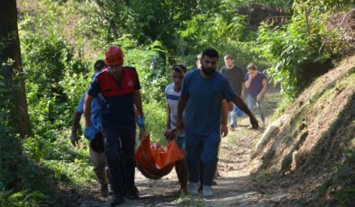 Kökünden kopan incir ağacı yaşlı adamın sonu oldu