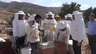 Muş’ta bu yıl 600 ton bal rekoltesi bekleniyor