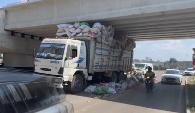 Odun yüklü kamyon köprü altında sıkıştı