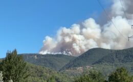 Karabük’te ormanlık alanda çıkan yangına müdahale ediliyor