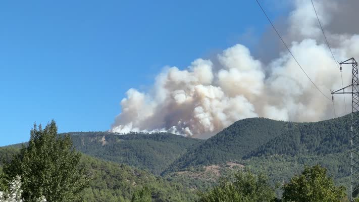 Karabük’te ormanlık alanda çıkan yangına müdahale ediliyor
