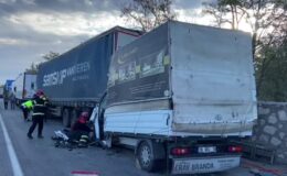 Park halindeki tıra çarpan kamyonetteki 3 kişi öldü