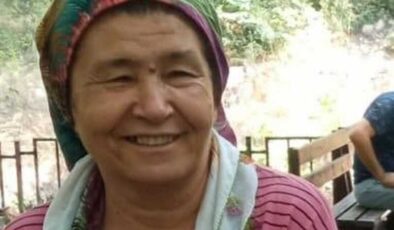 Parke taşıyla eşini öldürdü