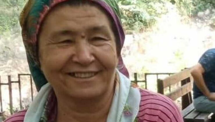 Parke taşıyla eşini öldürdü