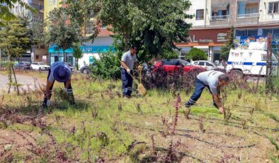 Yenişehir millet bahçesinde temizlik seferberliği