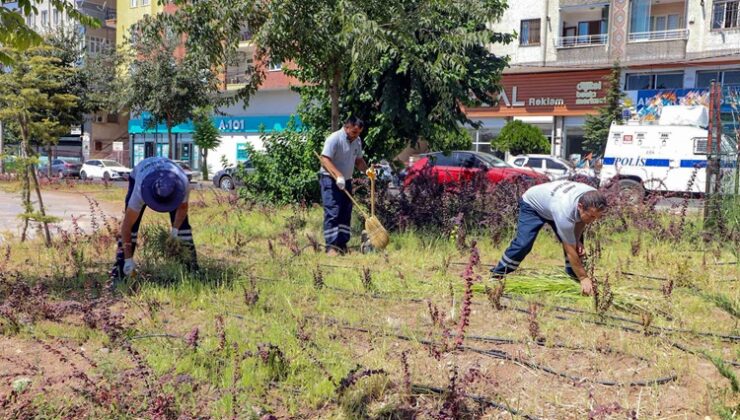 Yenişehir millet bahçesinde temizlik seferberliği