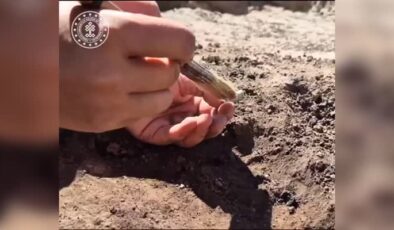 Tavşanlı Höyük’te 3 bin 750 yıllık fayans silindir mühür bulundu