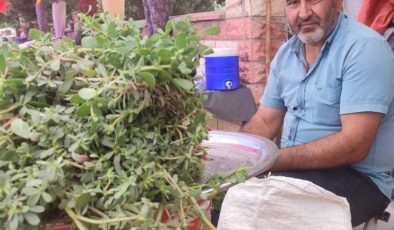 Topladığı semiz otu geçim kaynağı oldu