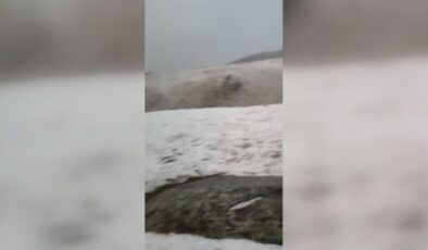 Tuygun köyü yaylası dolu ve karla beyaza büründü