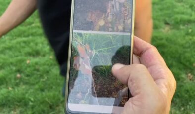 Şanlıurfa’da çiftçiler anlık ziraat desteği alıyor
