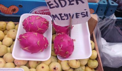 Ejder meyvesi Diyarbakır’daki Pazar tezgahlarına renk kattı