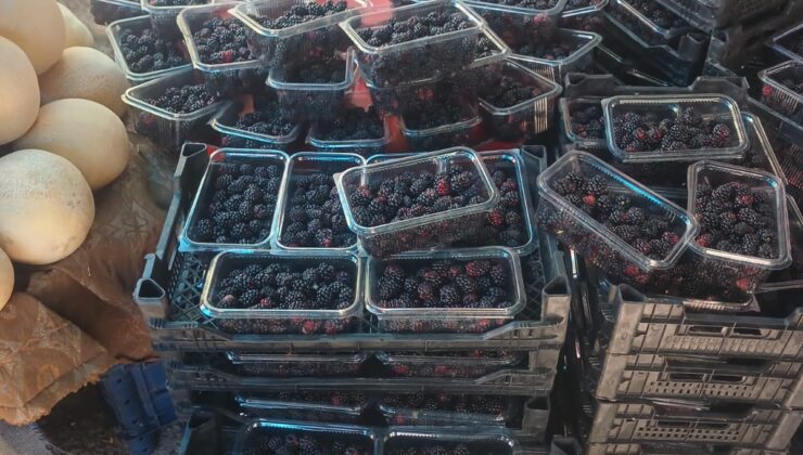 Şifa Deposu Böğürtlenler Diyarbakır Pazarlarında