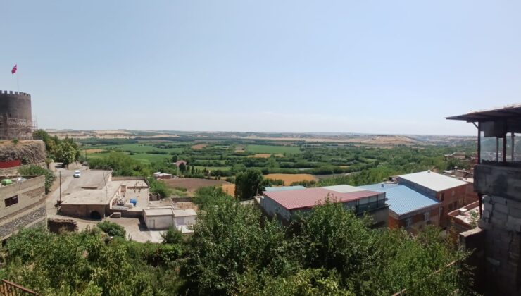 Hevsel Bahçeleri’nin Ağustos ayındaki büyüleyici güzelliği