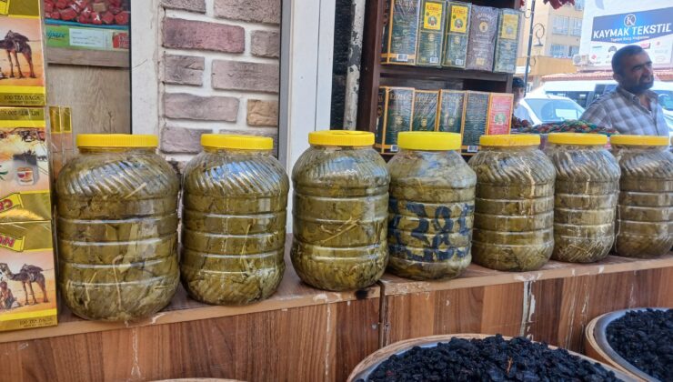 Dalından sofralara uzanan lezzet bidonlarda satılıyor