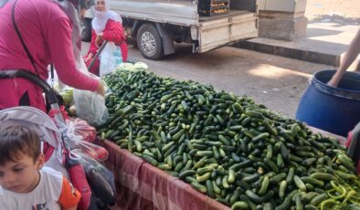 Diyarbakır’da sonbaharın gelişiyle turşu sezonu başladı