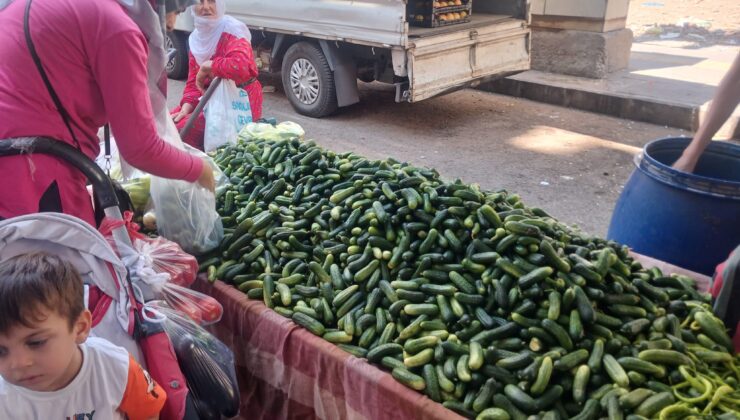 Diyarbakır’da sonbaharın gelişiyle turşu sezonu başladı