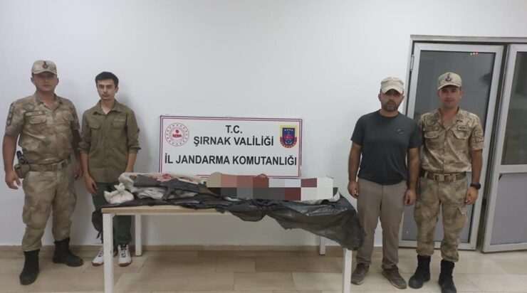 Yaban keçisi avlayan şahsa ceza