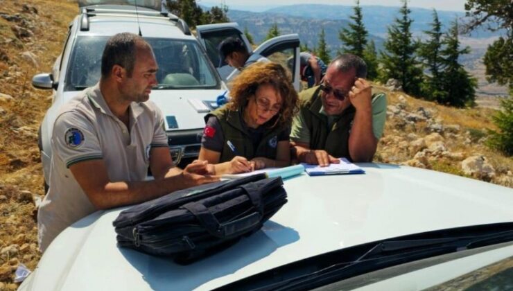 Yaban keçisi avlayan 2 şahsa 1 milyon 315 bin TL ceza