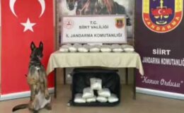 Otobüste bulunan bavulda 40 kilogram esrar ele geçirildi