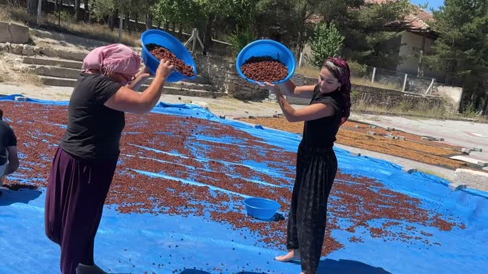 Yozgat’tan Japonya’ya kiraz ihracatı
