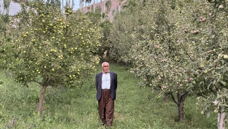 Yüksekova’da bereket fışkıran meyve fidanları