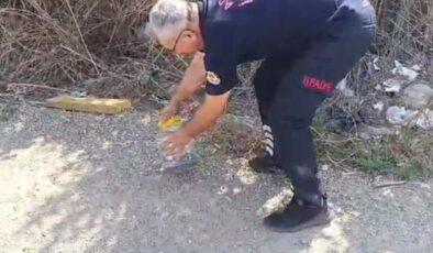 İtfaiye ekipleri evde yakaladıkları karayılanı doğaya bıraktı