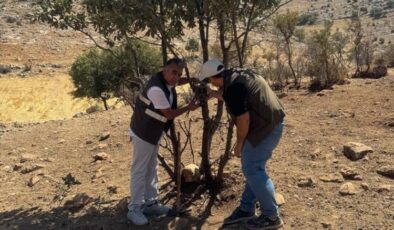 fotokapanlarla yaban hayatı gözetlenecek