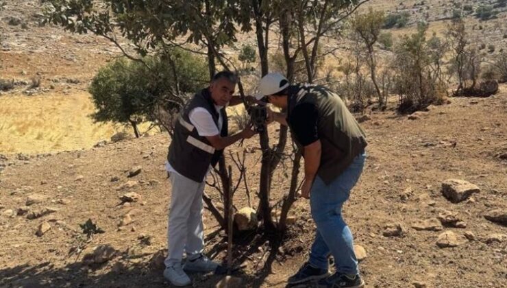 fotokapanlarla yaban hayatı gözetlenecek