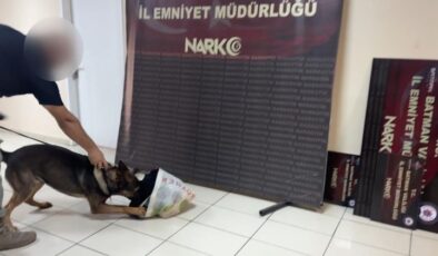 Batman’da makarna poşetleri içerisinde bonzai nakliyatı