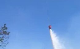 Bergama’daki orman yangını kontrol altında