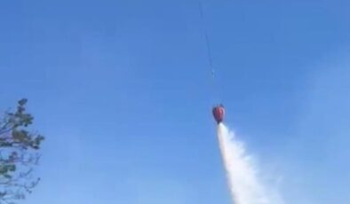 Bergama’daki orman yangını kontrol altında