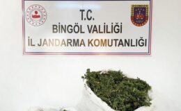 Bingöl’de 12 kilo esrar ele geçirildi