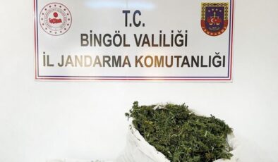 Bingöl’de 12 kilo esrar ele geçirildi
