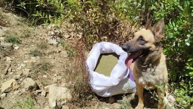 Bingöl’de 8 kiloya yakın uyuşturucu madde ele geçirildi