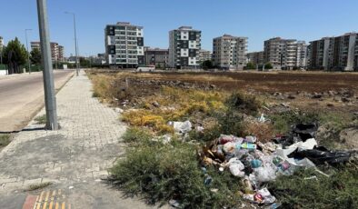 Yetersiz konteynerler nedeniyle çöp birikintileri oluşuyor