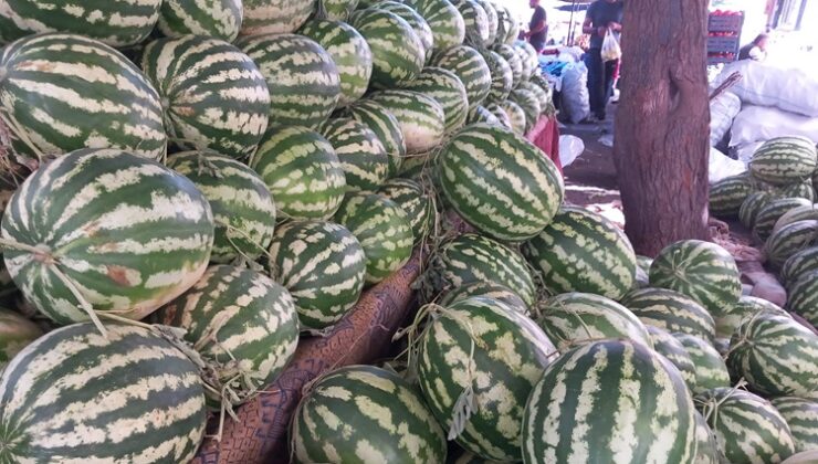 Diyarbakır karpuzu tezgahlarda yok satıyor