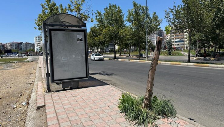 Diyarbakır’da otobüs durağında engelli yolu yok!