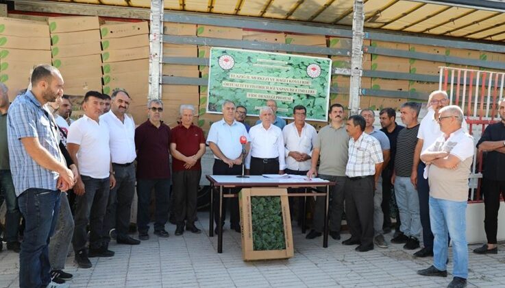 Elazığ’da 42 üreticiye fide dağıtıldı