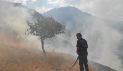 Hakkari’de anız yangını