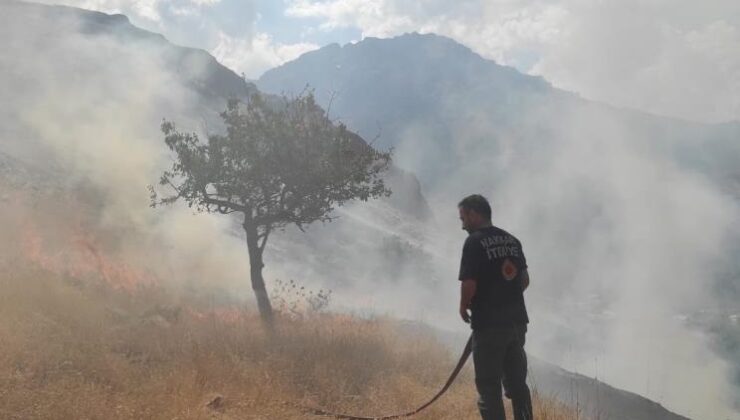 Hakkari’de anız yangını